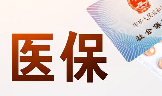 团队成员